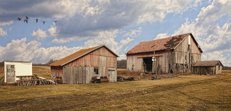 Exploring the Benefits of Cool Roofs in Urban Heat Islands